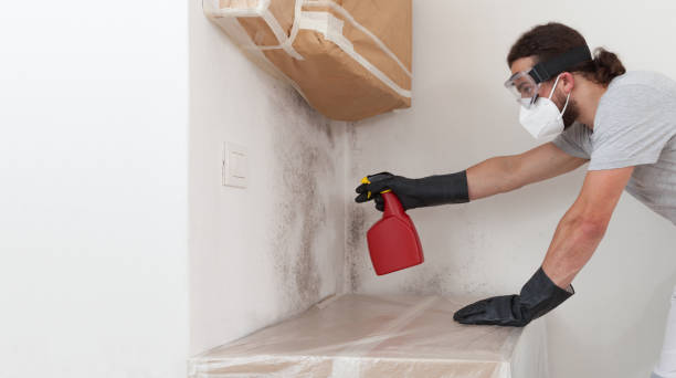 Professional Crawl Space Mold Remediation technician working in Trenton, NJ