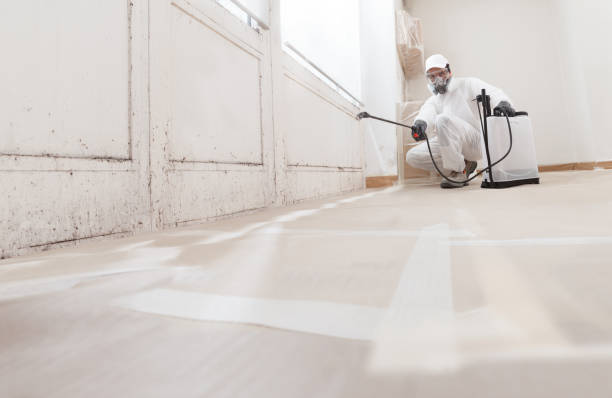 24/7 Emergency Crawl Space Mold Remediation experts in Trenton, NJ