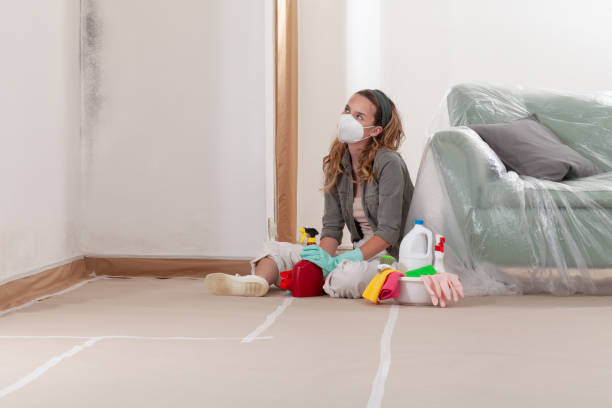 Reliable Crawl Space Mold Remediation contractor in Trenton, NJ by Mold Remediation HQ
