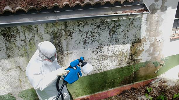 Top rated local Crawl Space Mold Remediation specialists in Trenton, NJ